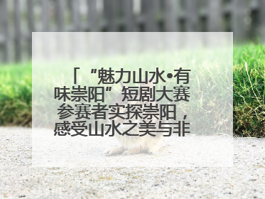 “魅力山水•有味崇阳”短剧大赛参赛者实探崇阳，感受山水之美与非遗文化“提琴戏”魅力