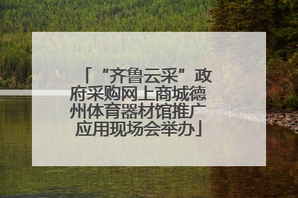 “齐鲁云采”政府采购网上商城德州体育器材馆推广应用现场会举办