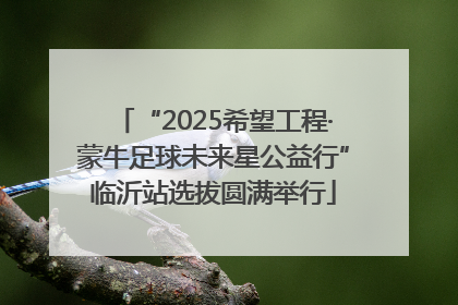 “2025希望工程·蒙牛足球未来星公益行”临沂站选拔圆满举行
