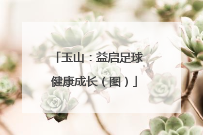 玉山：益启足球 健康成长（图）
