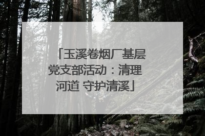 玉溪卷烟厂基层党支部活动：清理河道 守护清溪
