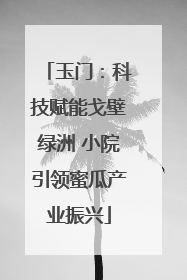 玉门：科技赋能戈壁绿洲 小院引领蜜瓜产业振兴