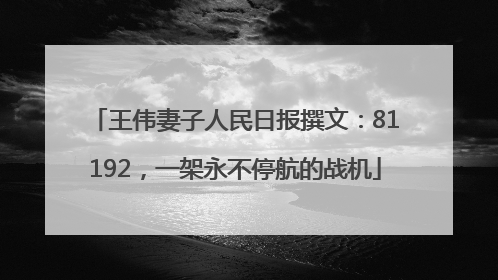 王伟妻子人民日报撰文：81192，一架永不停航的战机