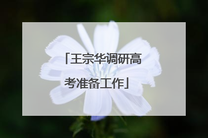 王宗华调研高考准备工作
