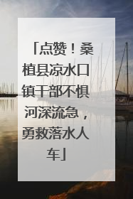 点赞！桑植县凉水口镇干部不惧河深流急，勇救落水人车