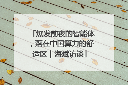 爆发前夜的智能体，落在中国算力的舒适区｜海斌访谈