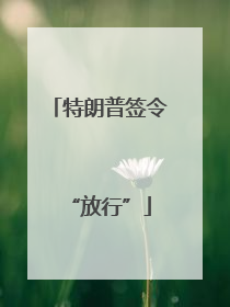 特朗普签令“放行”