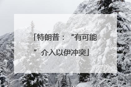 特朗普：“有可能”介入以伊冲突