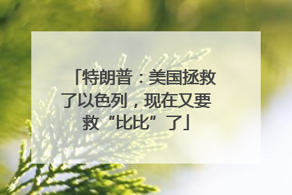 特朗普：美国拯救了以色列，现在又要救“比比”了