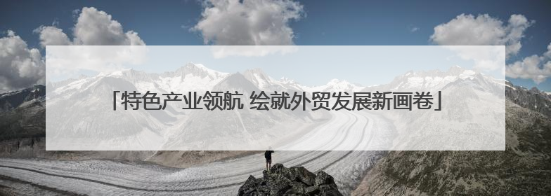 特色产业领航 绘就外贸发展新画卷