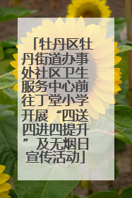 牡丹区牡丹街道办事处社区卫生服务中心前往丁堂小学开展“四送四进四提升”及无烟日宣传活动