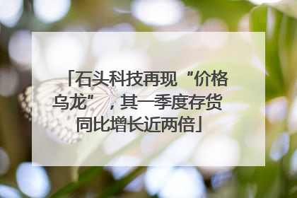 石头科技再现“价格乌龙”，其一季度存货同比增长近两倍