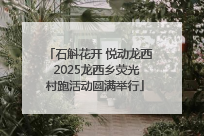 石斛花开 悦动龙西 2025龙西乡荧光村跑活动圆满举行