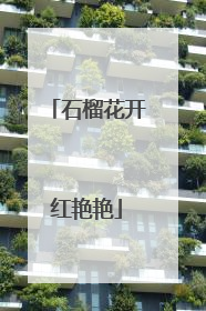石榴花开红艳艳