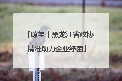 瞭望丨黑龙江省政协精准助力企业纾困