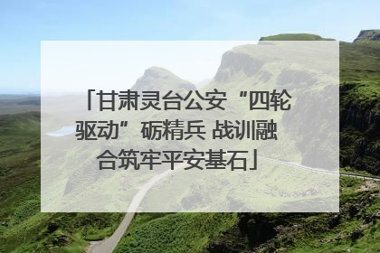甘肃灵台公安“四轮驱动”砺精兵 战训融合筑牢平安基石
