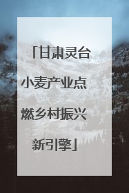 甘肃灵台小麦产业点燃乡村振兴新引擎