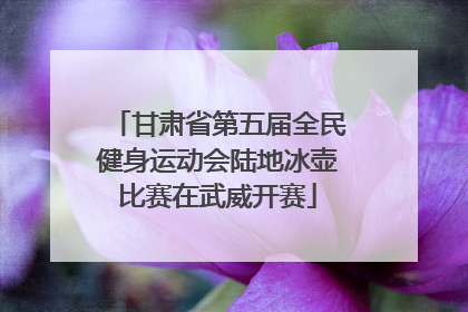甘肃省第五届全民健身运动会陆地冰壶比赛在武威开赛