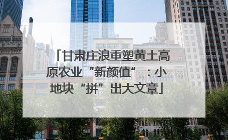 甘肃庄浪重塑黄土高原农业“新颜值”：小地块“拼”出大文章