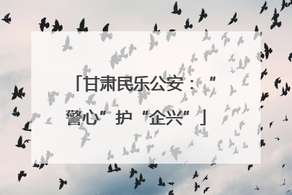甘肃民乐公安：“警心”护“企兴”