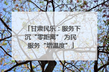甘肃民乐：服务下沉“零距离” 为民服务“增温度”