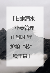 甘肃清水：小麦管理正当时 守护粮“芯”绘丰景