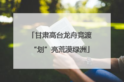 甘肃高台龙舟竞渡“划”亮荒漠绿洲