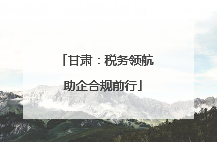 甘肃：税务领航 助企合规前行