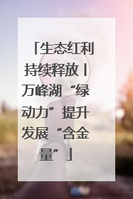 生态红利持续释放丨万峰湖“绿动力”提升发展“含金量”