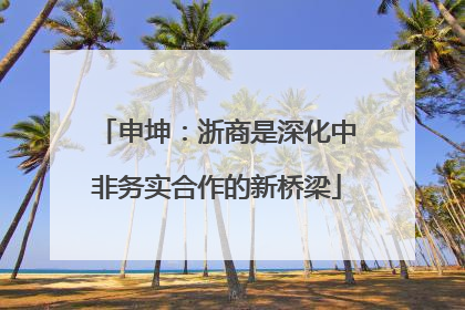 申坤：浙商是深化中非务实合作的新桥梁