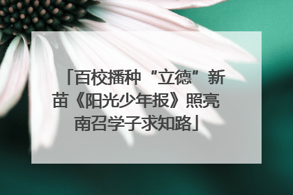 百校播种“立德”新苗《阳光少年报》照亮南召学子求知路