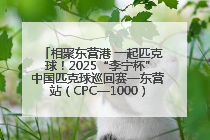 相聚东营港 一起匹克球！2025“李宁杯”中国匹克球巡回赛—东营站（CPC—1000）暨“好运山东”黄河口匹克球公开赛落幕