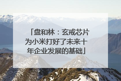 盘和林：玄戒芯片为小米打好了未来十年企业发展的基础