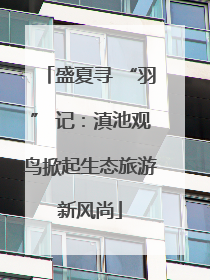 盛夏寻 “羽” 记：滇池观鸟掀起生态旅游新风尚