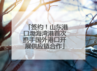 签约！山东港口渤海湾港首次携手国外港口开展供应链合作