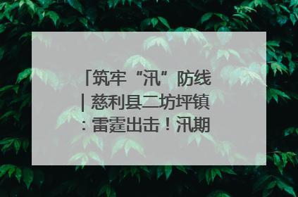 筑牢“汛”防线｜慈利县二坊坪镇：雷霆出击！汛期捕鱼被紧急叫停