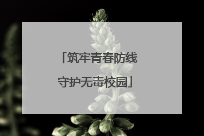 筑牢青春防线 守护无毒校园