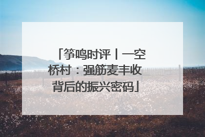 筝鸣时评丨一空桥村：强筋麦丰收背后的振兴密码