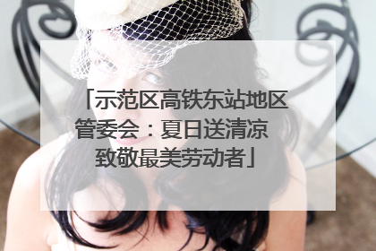 示范区高铁东站地区管委会：夏日送清凉 致敬最美劳动者