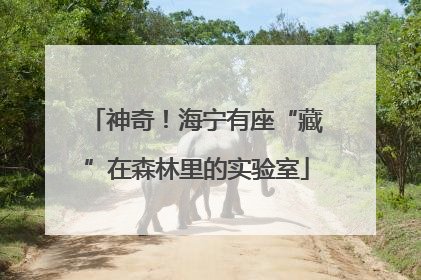 神奇！海宁有座“藏”在森林里的实验室