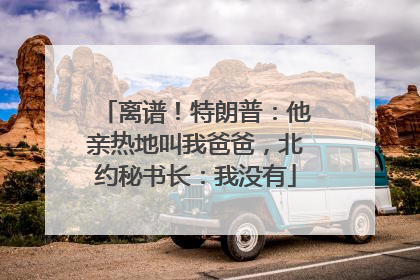 离谱！特朗普：他亲热地叫我爸爸，北约秘书长：我没有