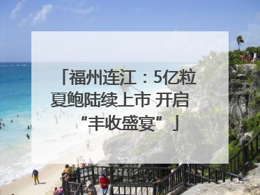 福州连江：5亿粒夏鲍陆续上市 开启“丰收盛宴”