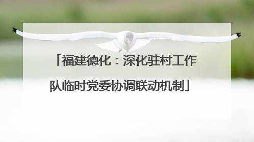 福建德化：深化驻村工作队临时党委协调联动机制