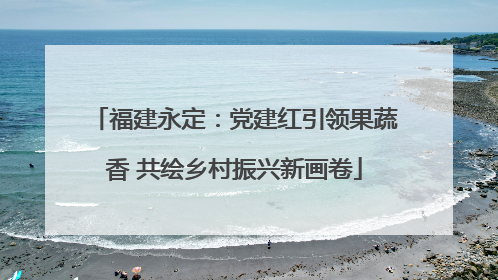 福建永定：党建红引领果蔬香 共绘乡村振兴新画卷