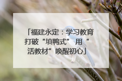 福建永定：学习教育打破“填鸭式” 用“活教材”唤醒初心