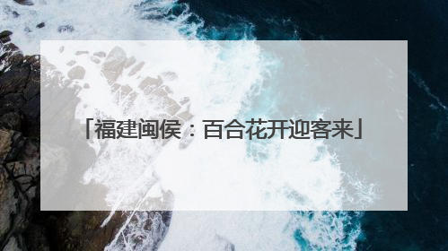 福建闽侯：百合花开迎客来