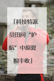 科技特派员田间“护航”中原夏粮丰收