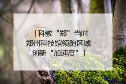 科教“郑”当时 郑州科技馆领跑区域创新“加速度”