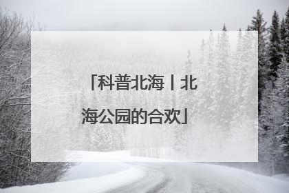科普北海丨北海公园的合欢