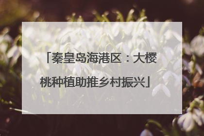 秦皇岛海港区：大樱桃种植助推乡村振兴